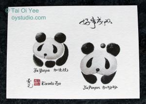 Panda Prints Commissioned By The Toronto Zoo